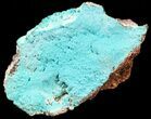 Turquoise, Botryoidal Chrysocolla - Congo #54988-2